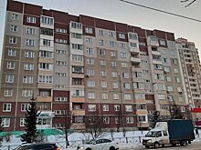 Казанцы ищут управу на содержателей псарни в квартире