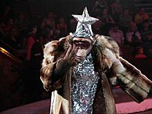 Полный зверополис: в самарский цирк приехало шоу "Джамбо"