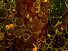 В Самаре хотят построить очистные сооружения в поселке Управленческом