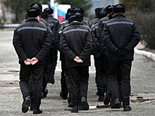 Создателям мефедроновой нарколаборатории вынесли приговоры в Ленобласти