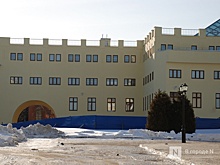 Уголовное дело по нецелевому расходованию средств на Дом правительства могут возбудить в Нижнем Новгороде