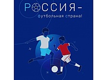 Проект развития вологодского «Динамо» оценили на национальном уровне