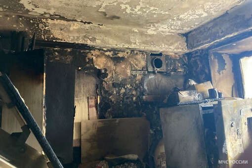 В Петербурге школьница спалила кухню, пытаясь приготовить обед