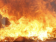 В Мелитополе сожгли аптеки депутата, выступавшей в защиту русского языка