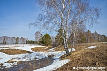 Синоптики рассказали, когда в Свердловскую область придет настоящая весна