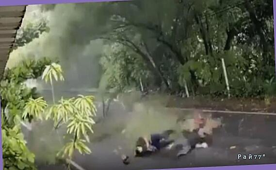 Туристы, путешествующие на мотоцикле, не успели проехать под деревом