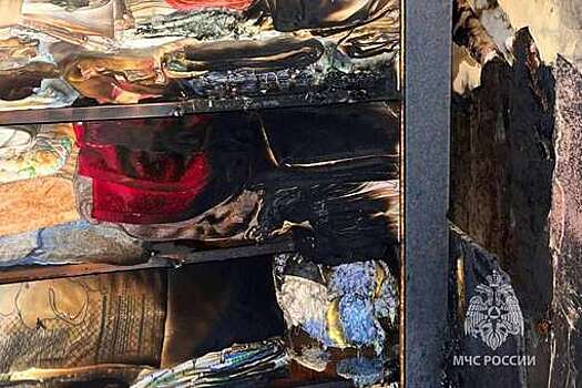 МЧС России: робот-пылесос чуть не спалил дом в Курской области