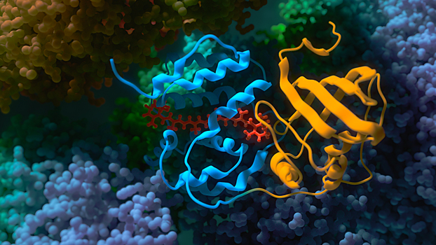 Да будет свет: как светящиеся конструкции помогают изучать физику биомолекул