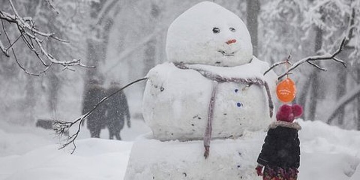 Выходные в парке: фестиваль снеговиков и холодное сердце Сибири