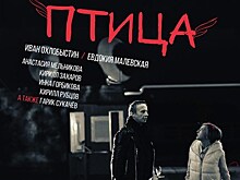 Фильм "Птица" выходит в прокат 18 мая