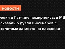 Стрелки в Гатчине помирились: в МВД рассказали о дуэли инженеров на пистолетах за место на парковке