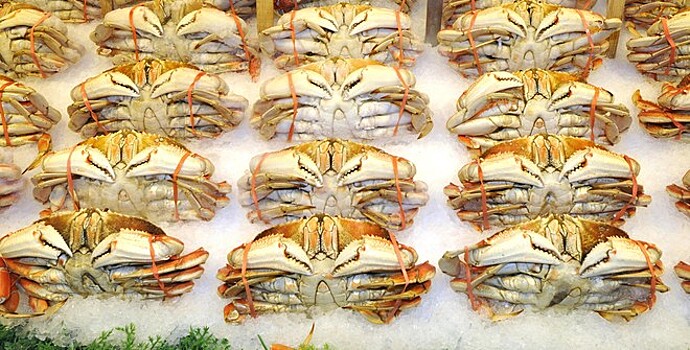 В России упорядочили крабовые аукционы
