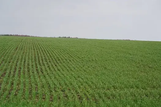 Народные приметы на 14 июля 2025 года: что нельзя делать в этот день