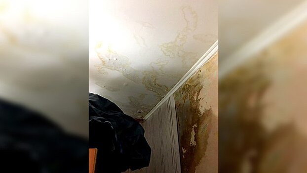 Воронежцы: «Вода с крыши пятиэтажки добралась уже до 3 этажа»