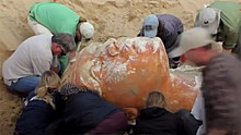 Ученые нашли таинственную скульптуру Сфинкса в пустыне в США