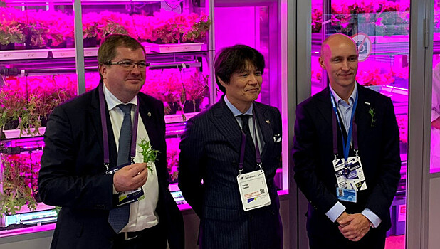 Panasonic и МГУ договорились сотрудничать в "вертикальном" овощеводстве