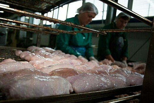 Нелетающая птица взлетит в цене: экономисты назвали 5 товаров, которые подорожают до конца лета