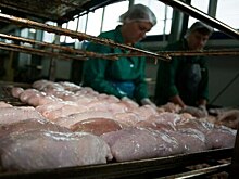 Нелетающая птица взлетит в цене: экономисты назвали 5 товаров, которые подорожают до конца лета