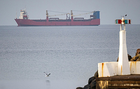 SVT: российскому сухогрузу Adler разрешили покинуть воды Швеции