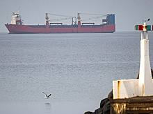 SVT: российскому сухогрузу Adler разрешили покинуть воды Швеции