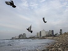 Недвижимость на Святой Земле: что купить в Израиле, продав двушку в Москве