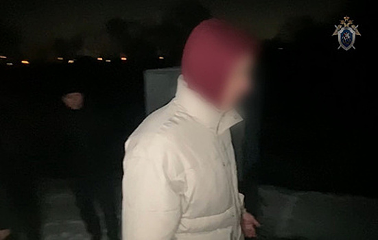 СК задержал вовлекшего подростков в совершение теракта в Белгородской области