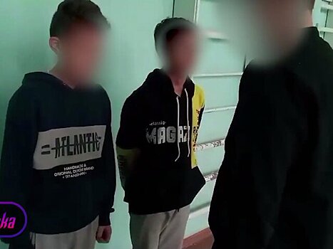 Министерство образования Татарстана начало проверку после видео с избиением школьников