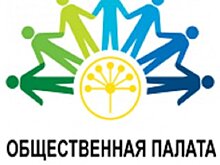Два человека вышли из состава совета Общественной палаты Башкирии