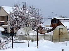 Ущерб колоссальный: непогода разрушила теплицы на дачах под Новосибирском