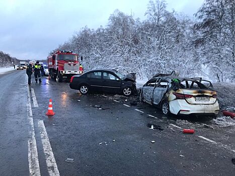 Лобовая авария на трассе "Нарва" унесла жизни двоих детей