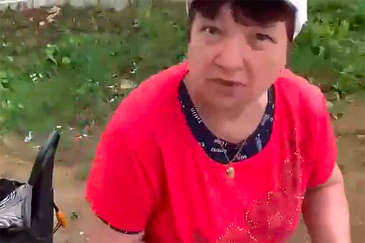 Видео разгрома торговой точки пенсионерки под Москвой оказалось фейком