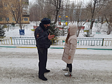 Жительница Красноярска поблагодарила участкового уполномоченного полиции за добросовестное выполнение обязанностей