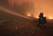 Огонь в заповеднике Мордовии прошёл по площади почти 12 тыс. гектаров