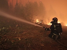 Огонь в заповеднике Мордовии прошёл по площади почти 12 тыс. гектаров