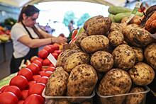 Картофель и помидоры признали эффективными в борьбе с раком