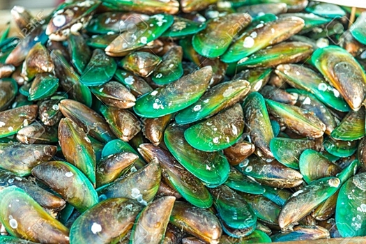 Один и тот же заразный рак у мидий распространился по всей Атлантике