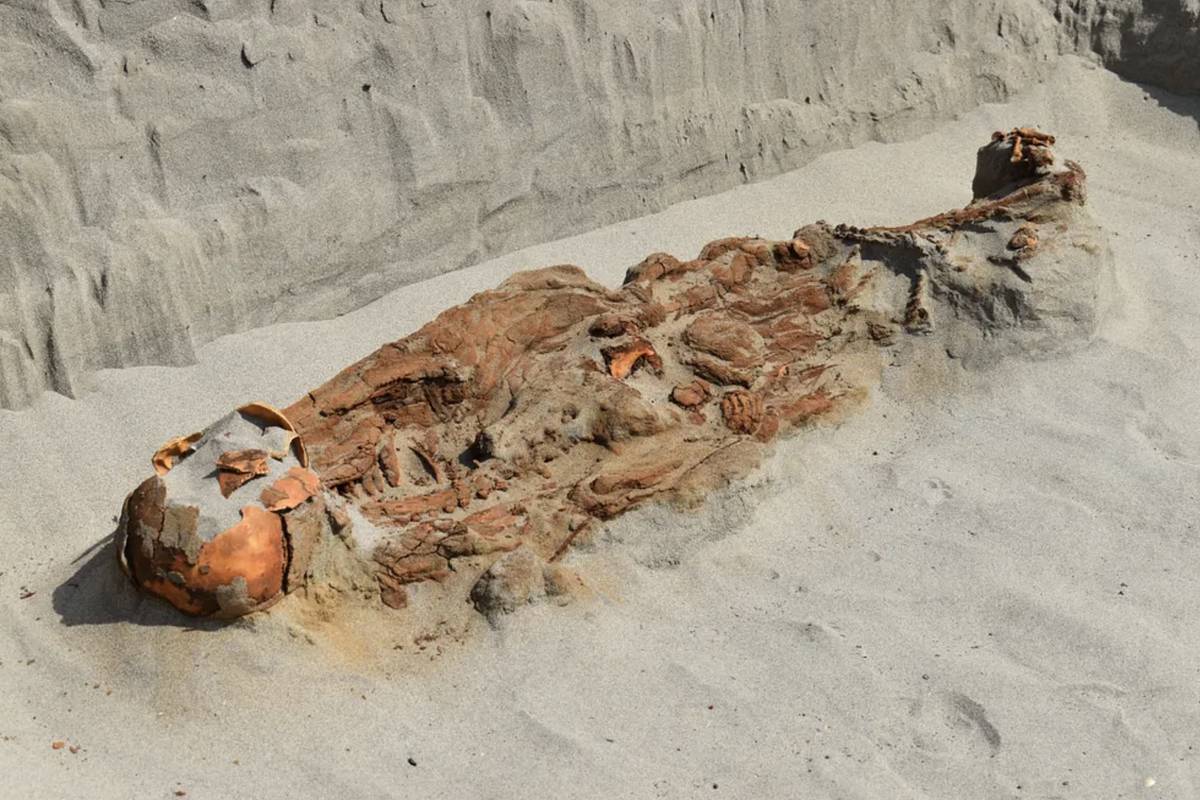 Найдено массовое древнее захоронение принесенных в жертву людей