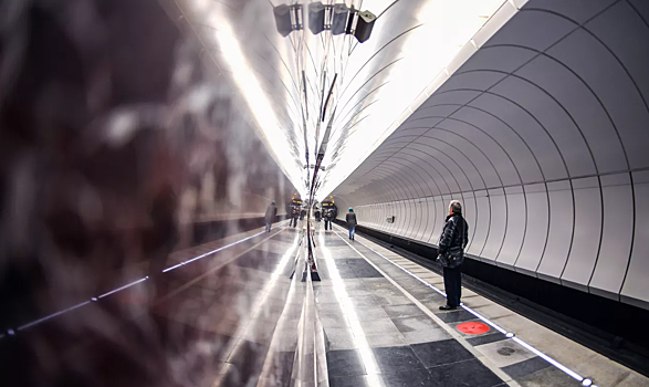 Часть синей ветки московского метро встала из-за человека на пути