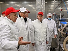 Калужская птицефабрика на 70 процентов нарастит переработку мяса