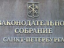 Законопроект о совместном развитии Петербурга и Ленобласти прошел первое чтение