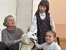 В школах Владивостока действует благотворительный проект "Животные города В"