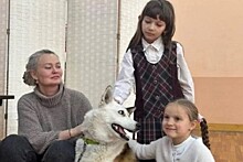 В школах Владивостока действует благотворительный проект "Животные города В"