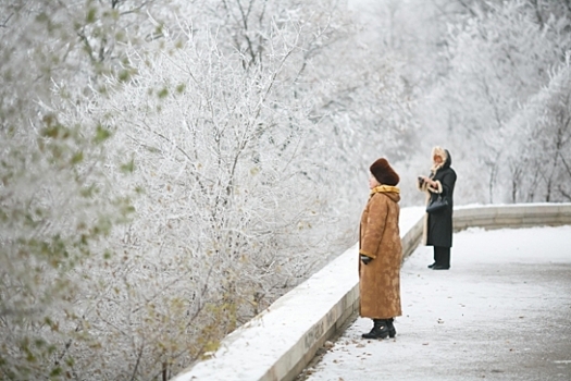 В 2025 году в Волгоградской области пропали без вести 556 человек