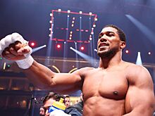 Энтони Джошуа — Даниэль Дюбуа, когда бой, кто фаворит, Усик отказался от пояса IBF, Усик — Фьюри, реванш