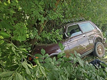 Водитель погиб в ДТП в Нижегородской области: ему стало плохо за рулем