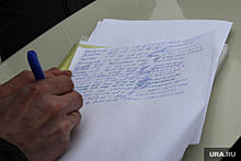 Курганцы собирают подписи за уголовное дело против мэра Ситниковой