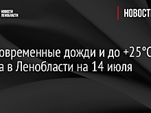 Кратковременные дожди и до +25°C — погода в Ленобласти на 14 июля