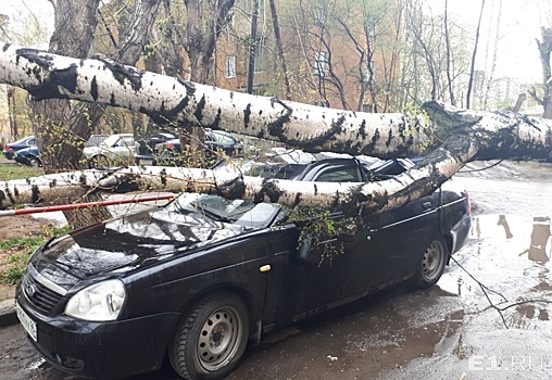 Сильный ветер, ливень и град: синоптики предупредили о разгуле стихии на Урале