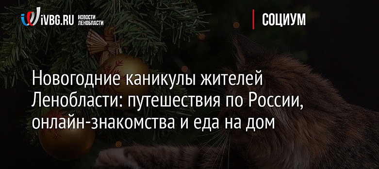 Новогодние каникулы жителей Ленобласти: путешествия по России, онлайн-знакомства и еда на дом