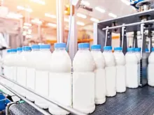 Выручка российского агрохолдинга "ЭкоНива" по итогам 2022 года выросла на 31%